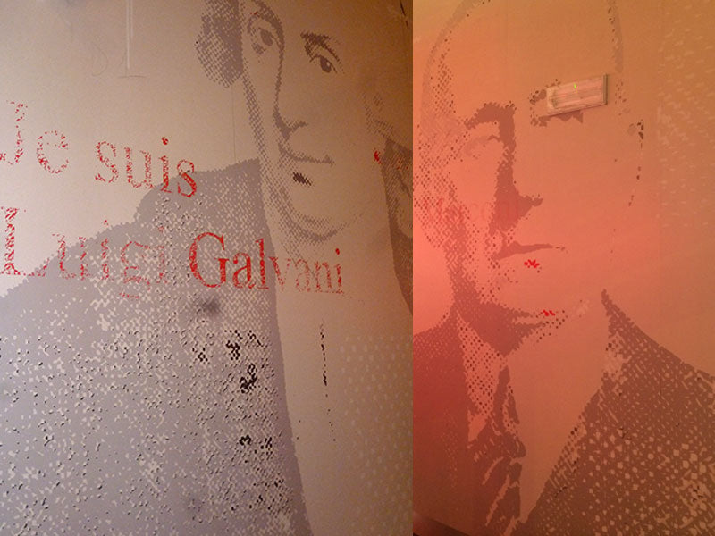 grafiche adesive sushiko bologna