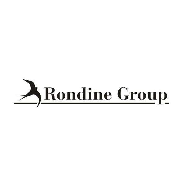 logo rondine group